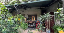 Casa en venta de 3 ambientes con entrada de auto y hermoso jardín sobre Av. Argentina al 5300