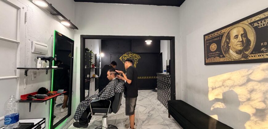 CASA CON DOS LOCALES Y DOS DEPARTAMENTOS EN VENTA EN PARQUE AVELLANEDA