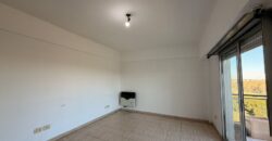 DEPARTAMENTO EN VENTA EN BARRIO NUEVO PARQUE AVELLANEDA
