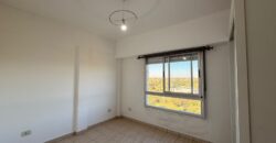 DEPARTAMENTO EN VENTA EN BARRIO NUEVO PARQUE AVELLANEDA